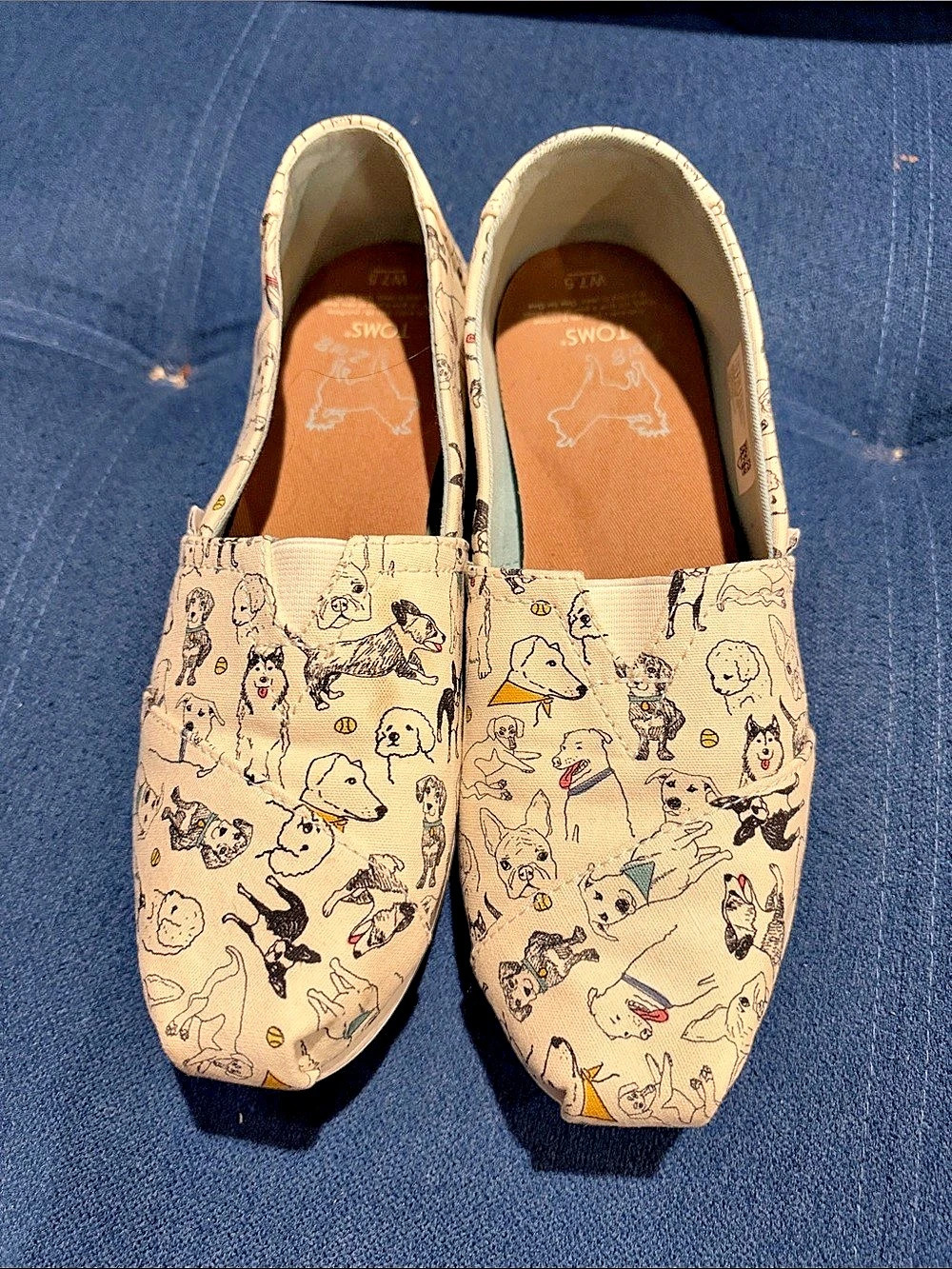 TOMS Alpargata Office Dogs Print Sneakers Cream & Multicolor US 7.5